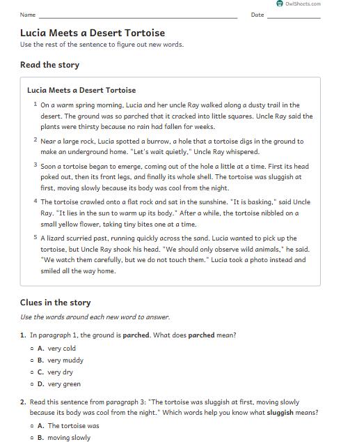 Lucia Meets a Desert Tortoise worksheet preview