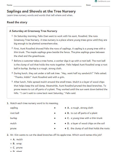 Saplings and Shovels at the Tree Nursery worksheet preview