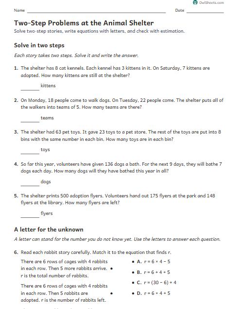 Two-Step Problems at the Animal Shelter worksheet preview