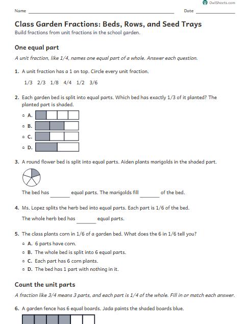 Class Garden Fractions: Beds, Rows, and Seed Trays worksheet preview
