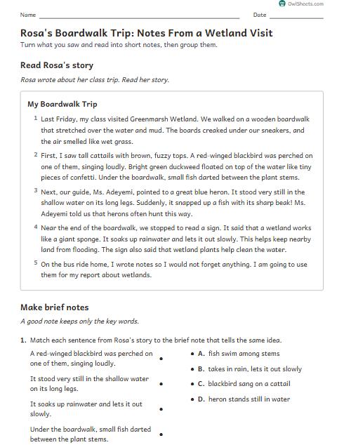 Rosa's Boardwalk Trip: Notes From a Wetland Visit worksheet preview