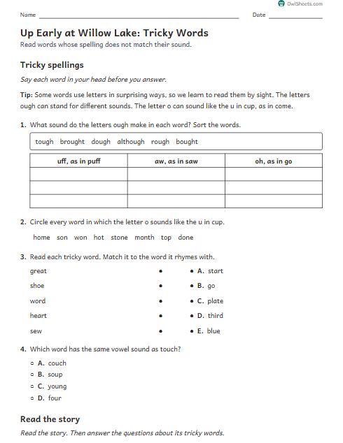 Up Early at Willow Lake: Tricky Words worksheet preview
