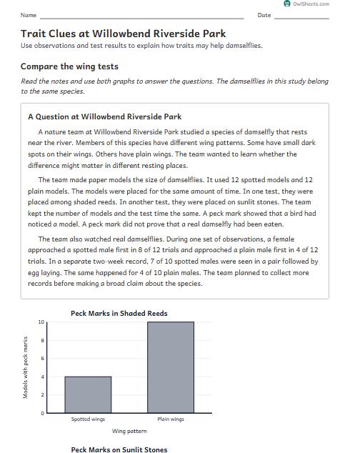 Trait Clues at Willowbend Riverside Park worksheet preview