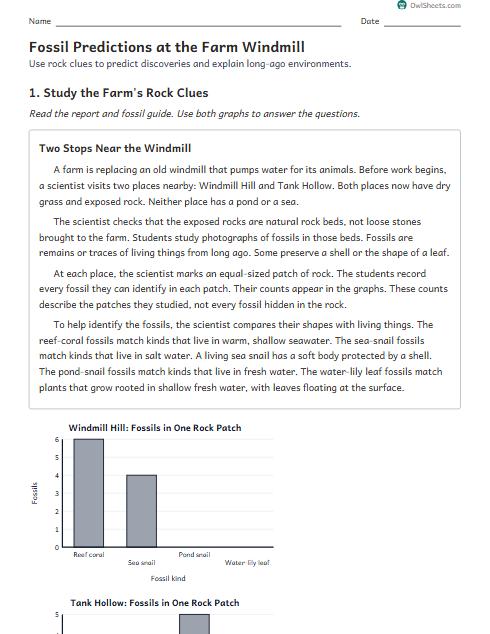 Fossil Predictions at the Farm Windmill worksheet preview