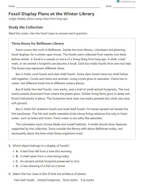 Fossil Display Plans at the Winter Library worksheet preview