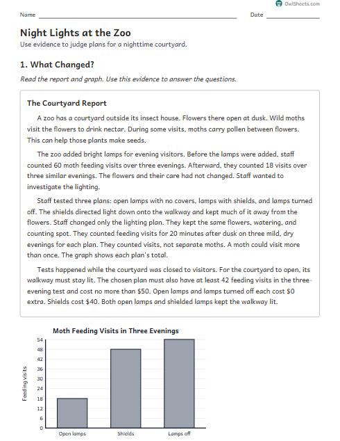 Night Lights at the Zoo worksheet preview