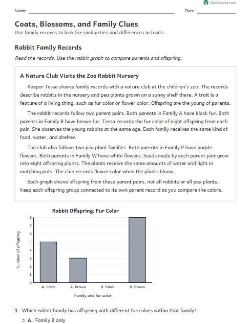 Coats, Blossoms, and Family Clues worksheet preview