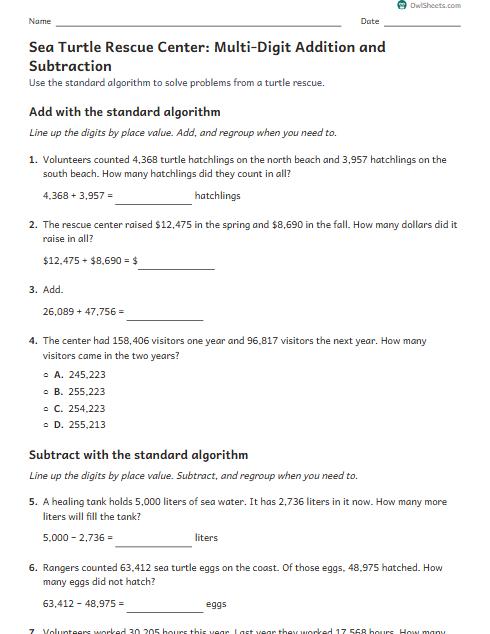 Sea Turtle Rescue Center: Multi-Digit Addition and Subtraction worksheet preview