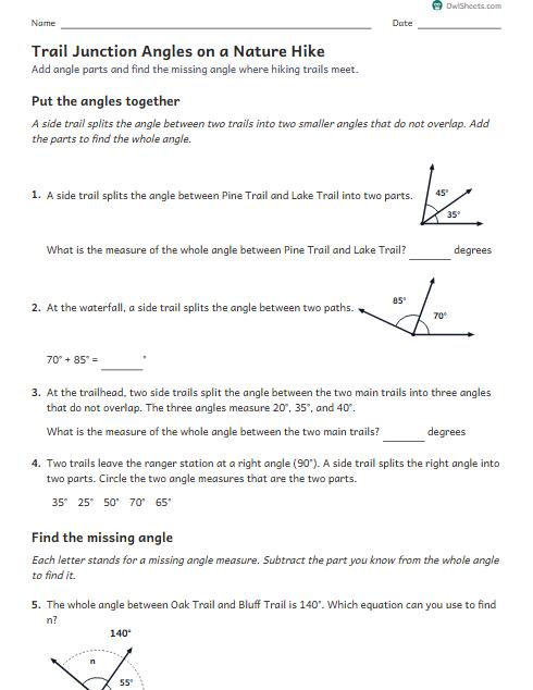 Trail Junction Angles on a Nature Hike worksheet preview