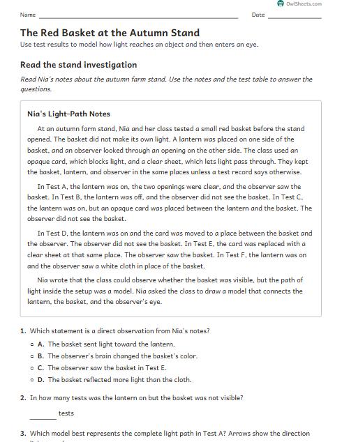 The Red Basket at the Autumn Stand worksheet preview