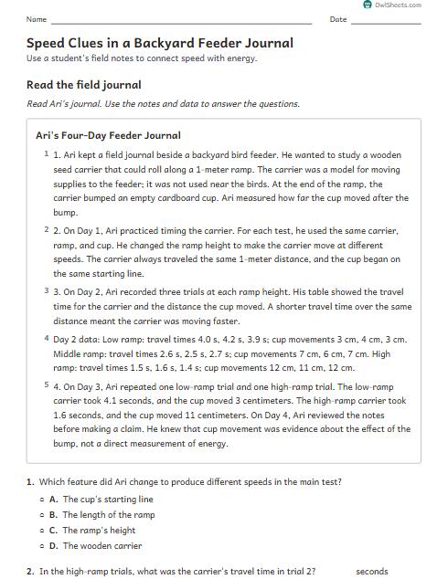 Speed Clues in a Backyard Feeder Journal worksheet preview