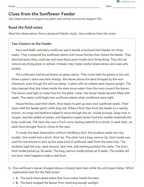 Clues from the Sunflower Feeder worksheet preview