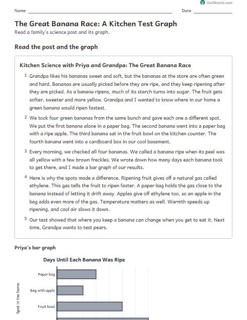 The Great Banana Race: A Kitchen Test Graph worksheet preview