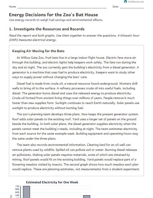 Energy Decisions for the Zoo's Bat House worksheet preview