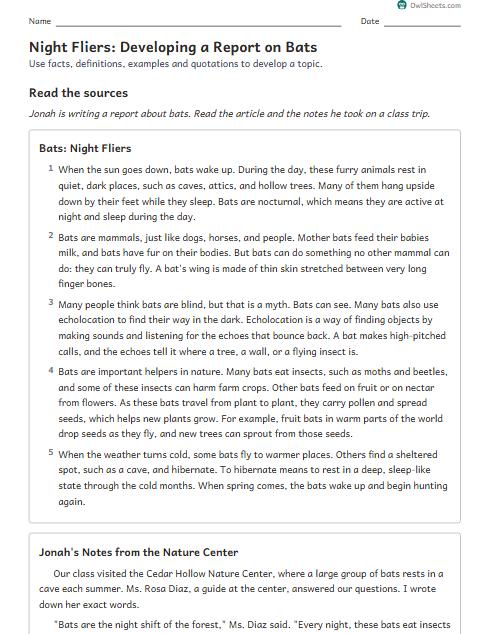 Night Fliers: Developing a Report on Bats worksheet preview
