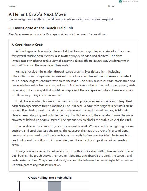 A Hermit Crab's Next Move worksheet preview