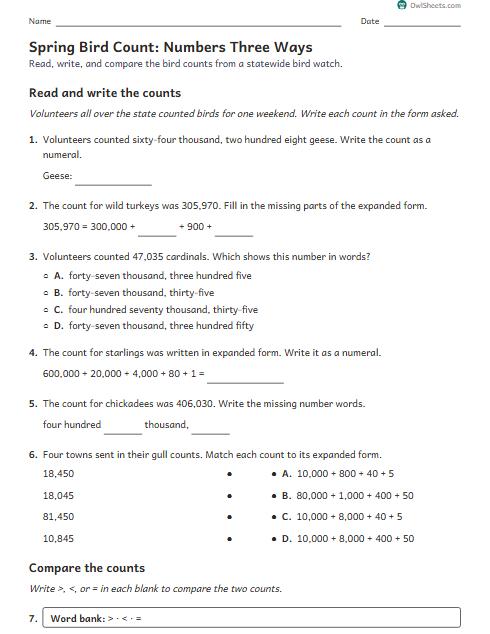 Spring Bird Count: Numbers Three Ways worksheet preview