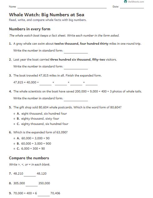 Whale Watch: Big Numbers at Sea worksheet preview