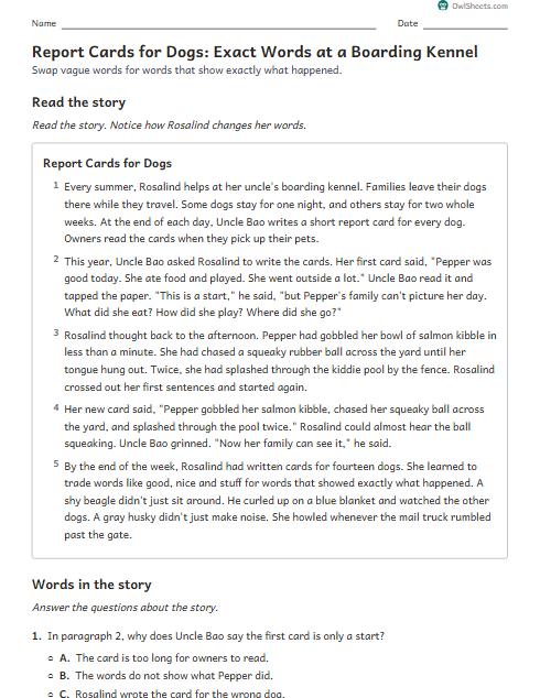 Report Cards for Dogs: Exact Words at a Boarding Kennel worksheet preview