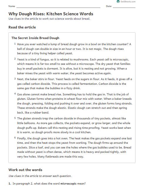 Why Dough Rises: Kitchen Science Words worksheet preview