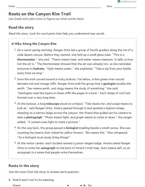 Roots on the Canyon Rim Trail worksheet preview