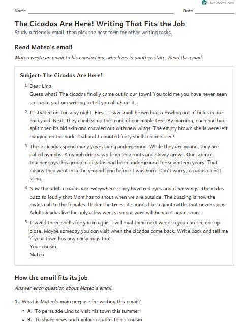 The Cicadas Are Here! Writing That Fits the Job worksheet preview