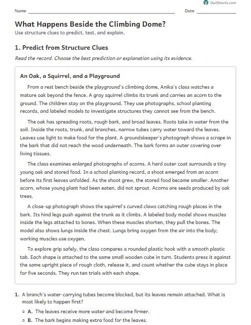 What Happens Beside the Climbing Dome? worksheet preview
