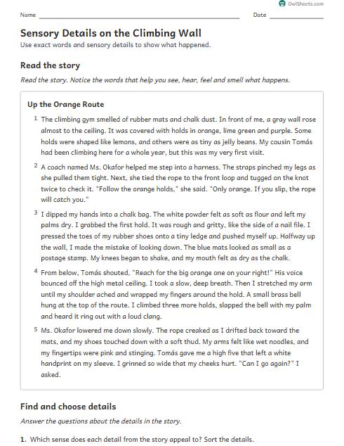 Sensory Details on the Climbing Wall worksheet preview