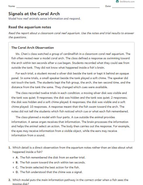 Signals at the Coral Arch worksheet preview