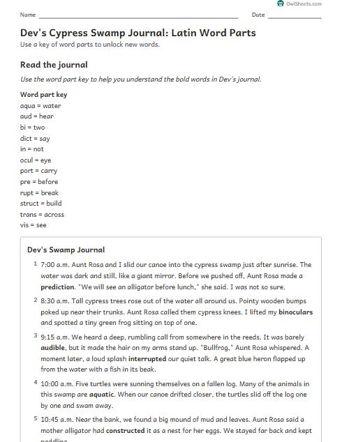 Dev's Cypress Swamp Journal: Latin Word Parts worksheet preview