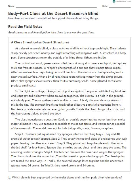 Body-Part Clues at the Desert Research Blind worksheet preview