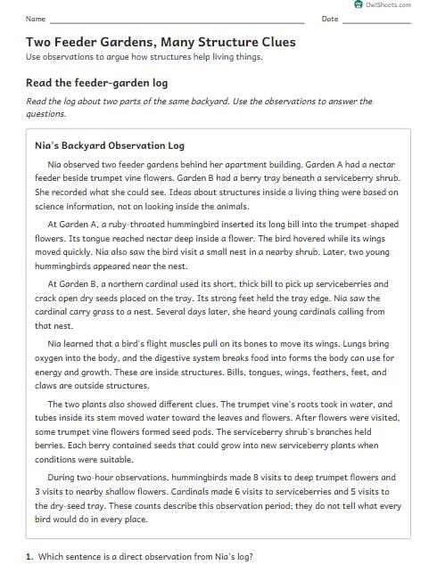 Two Feeder Gardens, Many Structure Clues worksheet preview