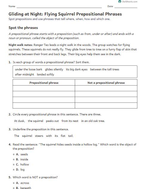 Gliding at Night: Flying Squirrel Prepositional Phrases worksheet preview