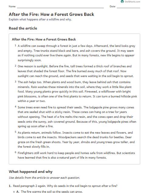 After the Fire: How a Forest Grows Back worksheet preview