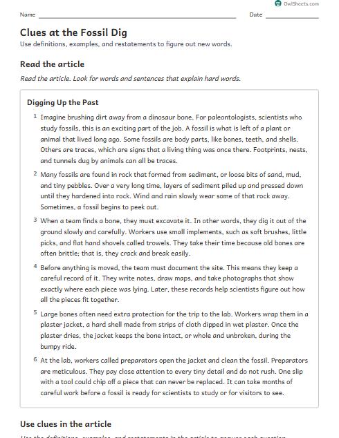 Clues at the Fossil Dig worksheet preview