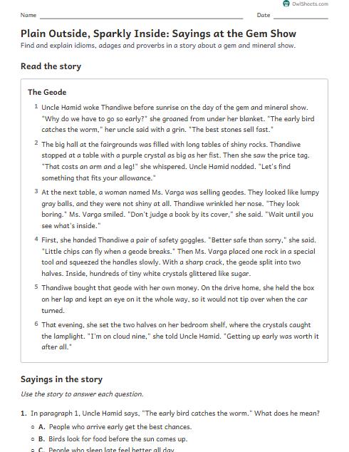 Plain Outside, Sparkly Inside: Sayings at the Gem Show worksheet preview