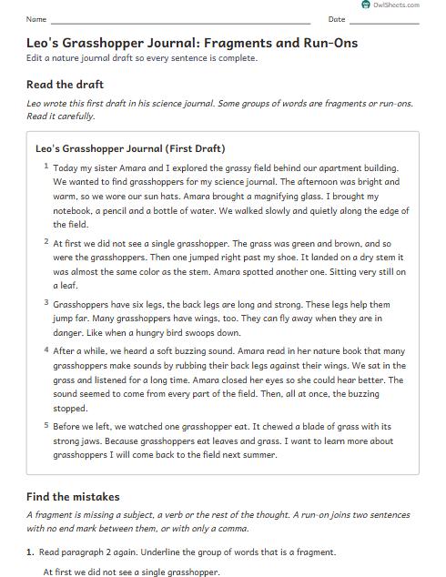 Leo's Grasshopper Journal: Fragments and Run-Ons worksheet preview