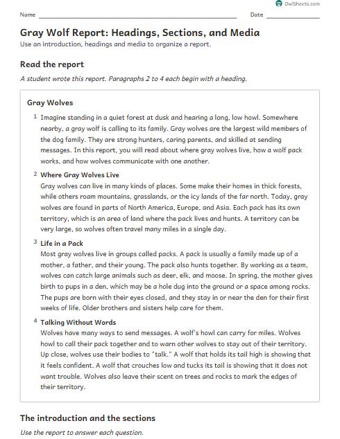 Gray Wolf Report: Headings, Sections, and Media worksheet preview