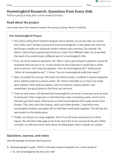 Hummingbird Research: Questions from Every Side worksheet preview