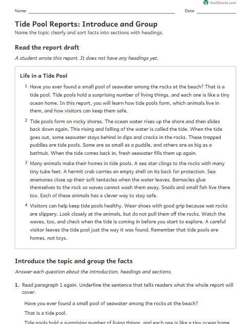 Tide Pool Reports: Introduce and Group worksheet preview