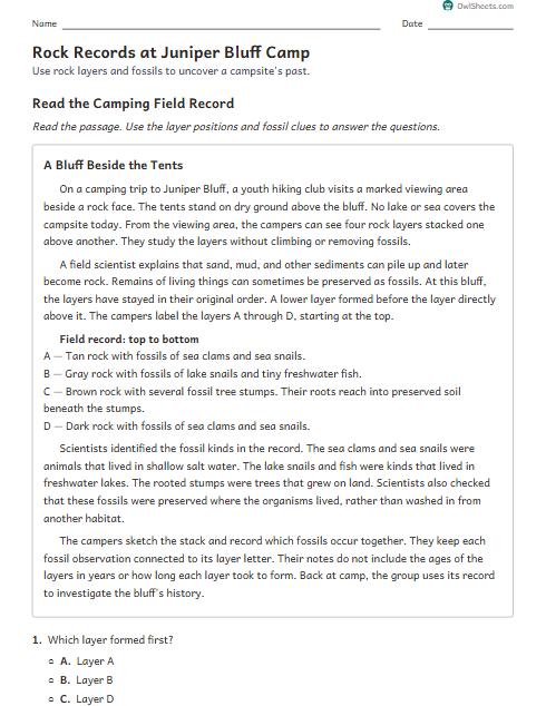 Rock Records at Juniper Bluff Camp worksheet preview
