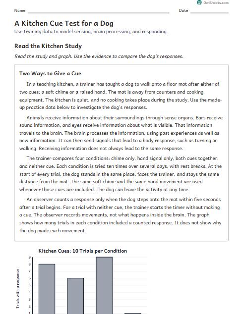 A Kitchen Cue Test for a Dog worksheet preview