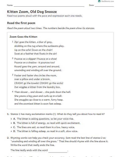 Kitten Zoom, Old Dog Snooze worksheet preview