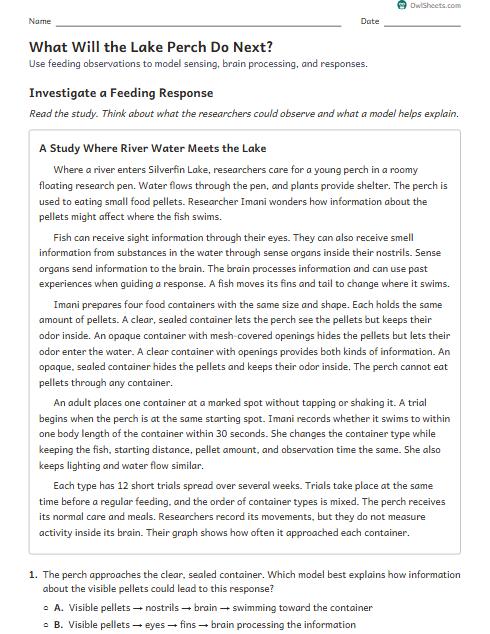 What Will the Lake Perch Do Next? worksheet preview