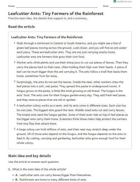 Leafcutter Ants: Tiny Farmers of the Rainforest worksheet preview