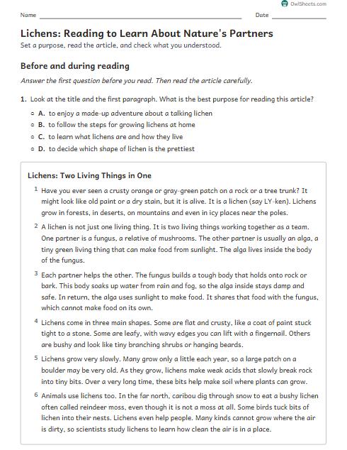 Lichens: Reading to Learn About Nature's Partners worksheet preview