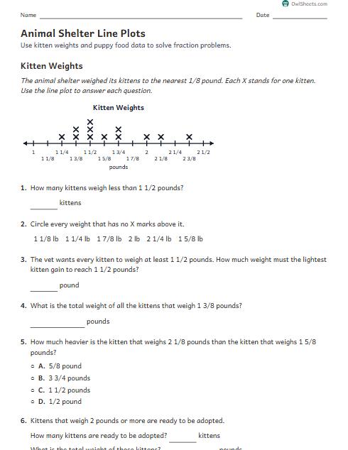 Animal Shelter Line Plots worksheet preview