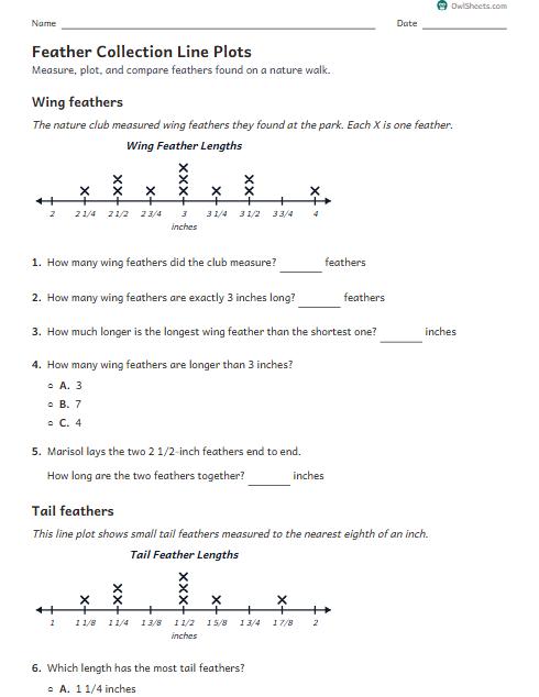 Feather Collection Line Plots worksheet preview
