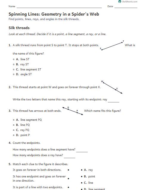 Spinning Lines: Geometry in a Spider's Web worksheet preview