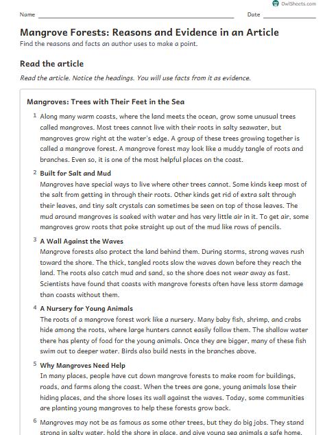 Mangrove Forests: Reasons and Evidence in an Article worksheet preview